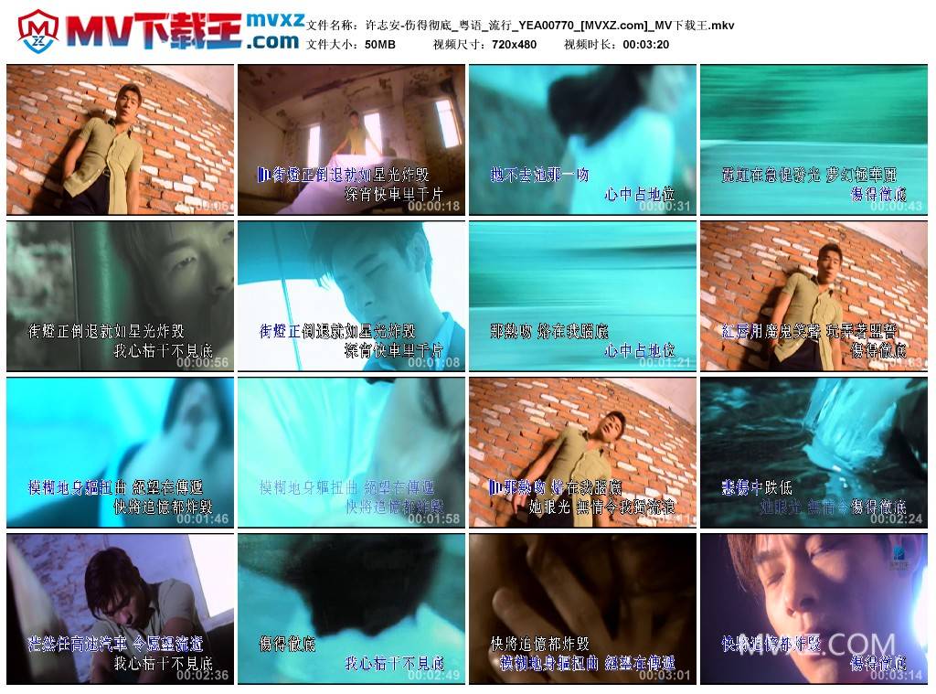 许志安-伤得彻底_粤语_流行_YEA00770